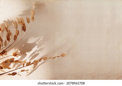 Brown Shadow Of The Hawthorn Tree Leaves On Texture Paper. Abstract Neutral Nature Concept Blurred Background. Space For Text. Overlay Effect For Photo.