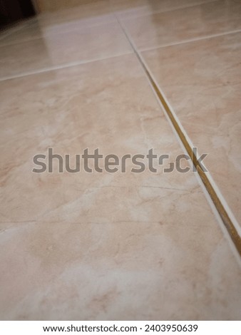 brown shine floor tile for tradisional home.