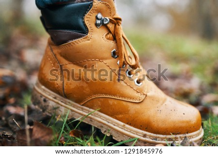   brown shoes forest closeup                             