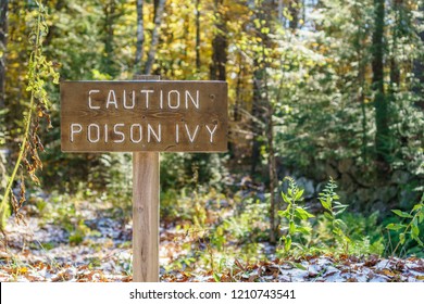 Brown sign in forest with words Caution Poison Ivy - Shutterstock ID 1210743541