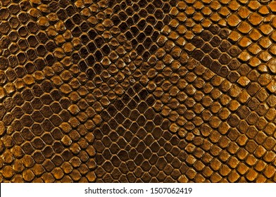 Brown Snake Skin, As Background. Reptile.