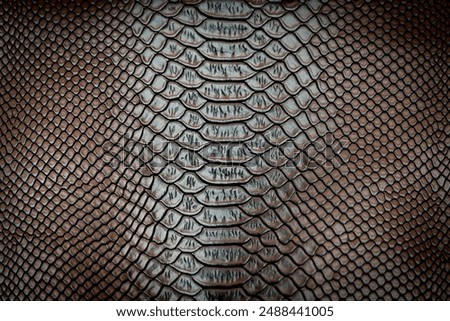Brown snake skin texture pattern can see the surface details use for background