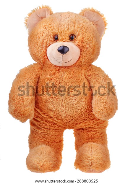 standing stuffed bear