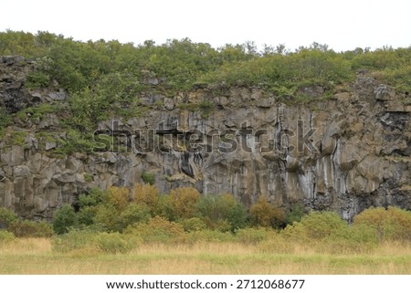 brown stone wall pattern background, Asbyrgi Vesturdalur in Iceland