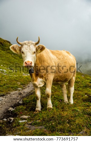 Similar – und du? Berge u. Gebirge