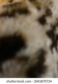 Brown and Tan Cheetahprint Fur Background