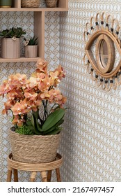 Brown taupe interior with brown taupe orchids