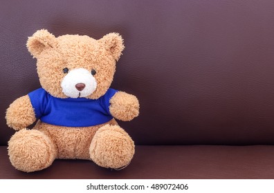 teddy bear with blue shirt