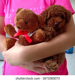 teddy bear dog toy poodle