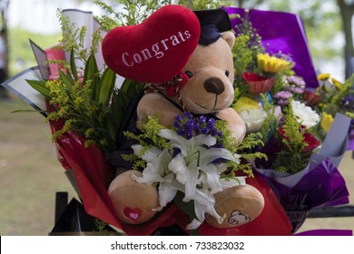 Brown Teddy Bear With Flowers As Graduation Gift.