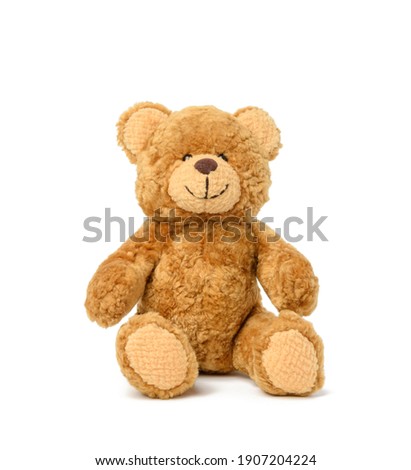 brown teddy bear sits on a white background, toy