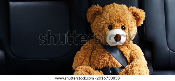 Brown teddy bear wearing\
car seat belt