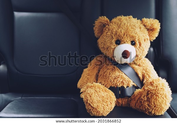 Brown teddy bear wearing
car seat belt
