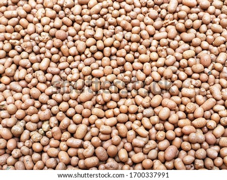 Brown terracotta background and texture. Is a material that holds water well and maintains moisture, used for covering the topsoil.Autoclaved aerated clay. 