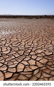 brown, thick earth crust cracked open by heat under the scorching Namibian sun. Steel blue sky in the background. Portrait shot - Shutterstock ID 2202463193