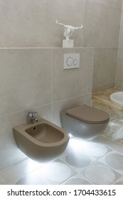Brown toilet and bidet. Modern wc interior. Economic toilet white flush press with two separate buttons for flushing toilet. Bottom light. Shelf with statuette. Vertically framed shot.