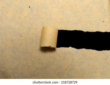 Brown torn paper with copyspace inside. You can put your message on the paper