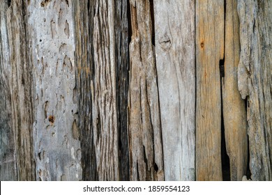 Brown vinatage wood texture art background abstract wood