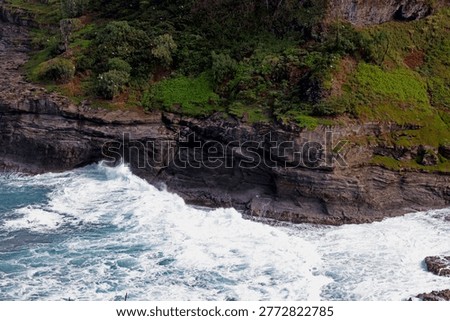Brown volcanic cliffs covered with low lying vegetation housing a large number of Laysan Albatross at the Kilauea Point National Wildlife Refuge on the island of Kauai, Hawaii, USA