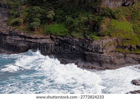 Brown volcanic cliffs covered with low lying vegetation and shrubs with a large number of Laysan Albatross at the Kilauea Point National Wildlife Refuge on the island of Kauai, Hawaii, USA