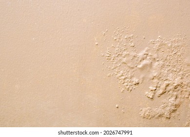 Brown Wall Damp Damaged With Peeling Paint