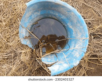 brown water in a broken bucket that looks like a shadow, surrounded by dry grass