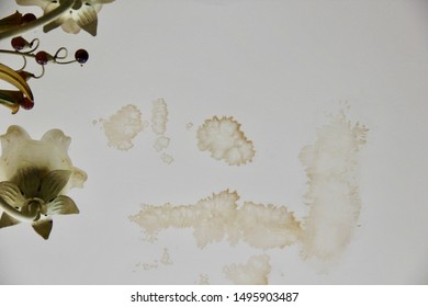 Dirty Bathroom Stock Photos Images Photography Shutterstock