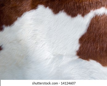 Brown And White Real Cow Skin Texture