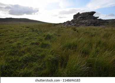 Brown Willy Bodmin Moor