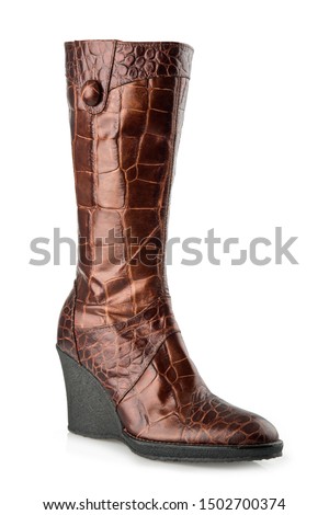 Brown women boots isolated on white background.