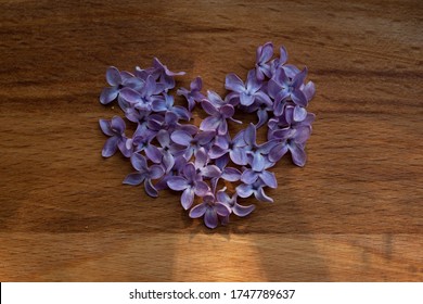 Brown wood background with heart of purple lilac flowers.