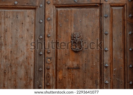 A brown wood old door in the centre of Pisa, Italy. High quality photo