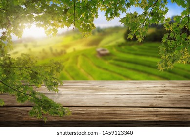 Brown Wood Table In Summer Farm Green Landscape With Empty Copy Space On The Table For Product Display Mockup. Agriculture And Outdoors Picnic Concept.