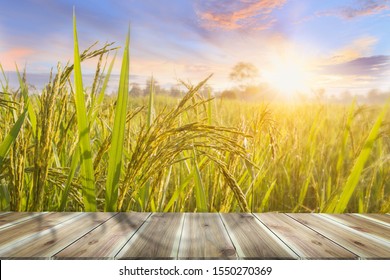 Brown Wooden Table Board Empty On Beautiful Organic Paddy-field. Rice Field And Sky Background At Sunset Time With Sun Rays.