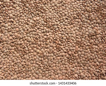 Brownish red color whole Masoor dal lentils