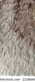 Brownish Stained Wolf Fur Texture 