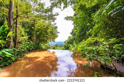 Brownish Strem Flowing To The Edge Of A Small Waterfall Surrounded By Blur View Of Rugged Trees And The City From Afar