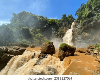 brownish waterfalls and large rocks surrounded by large trees