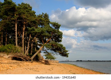 Brownsea Island