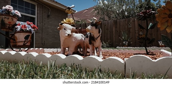 Brownsville TX USA July 10th 2022: Two Small Cow Statues And Some Flower-shaped Garden Ornaments In The Backyard Patio.