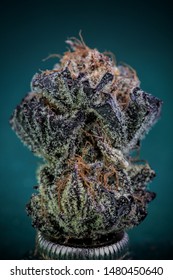 Bruce Banner Dried Cannabis Flower