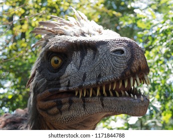 Brugelette, Belgium - August 2, 2018: A Replica Of An Utah Raptor.