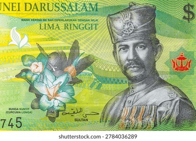 Brunei 5 Ringgit 2011.Sultan Hassanal Bolkiah Mu'izzaddin Waddaulah Uniform und Mutze.Lapau (Royal Ballroom) building and fountain.World money collection.Bonistics.Fragment for design purpose. 