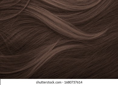 Brunette Or Brown Hair. Female Long Dark Hair In Black. Beautifully Laid Curls. Closeup Texture In A Dark Key. Hairdressing, Hair Care And Coloring. Shading Gray Hair. Background With Copy Space.