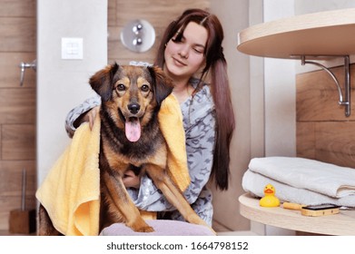 Brunette girl drying her dog with a towel after bathing - Powered by Shutterstock