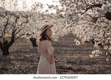 Brunette girl in straw hat and long pink dress walks among Blooming with white flowers almond orchard near Kfar Tavor in Norhern Israel on the background of Mount or hill Tabor on sunset