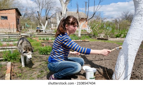 Brunette girl in a striped sweater and jeans whitewashing a tree trunk in a spring garden and a husky dog walking nearby