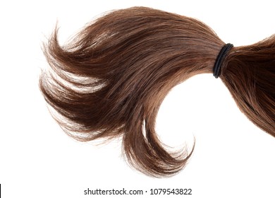 brunette hair in a ponytail isolated