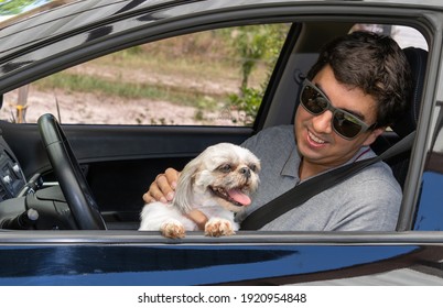 Brunette Man In A Black Car With A Seat Belt Wearing Sunglasses And A Gray Polo Shirt With A Collar. With A White, Yellow And Black Shih-tzu Dog. Driving In Holiday Mood And Good Vibes.