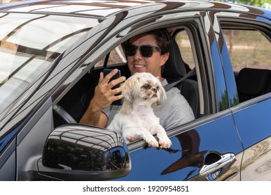 Brunette Man In A Black Car With A Seat Belt Wearing Sunglasses And A Gray Polo Shirt With A Collar. With A White, Yellow And Black Shih-tzu Dog. Driving In Holiday Mood And Good Vibes.